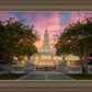 San Antonio Fiery Glow