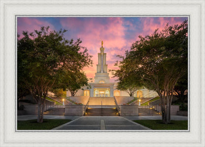 San Antonio Fiery Glow