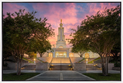 San Antonio Fiery Glow