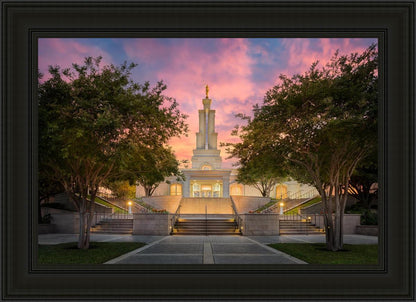 San Antonio Fiery Glow