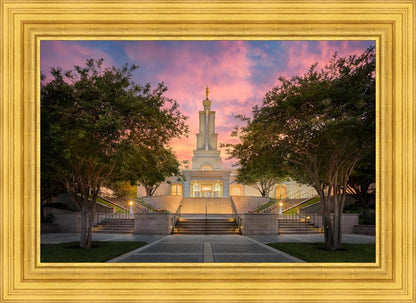 San Antonio Fiery Glow