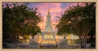 San Antonio Fiery Glow