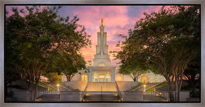 San Antonio Fiery Glow