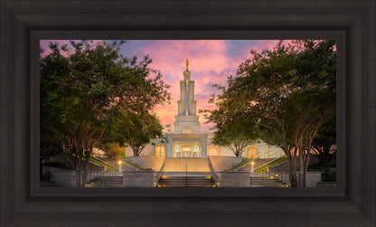 San Antonio Fiery Glow