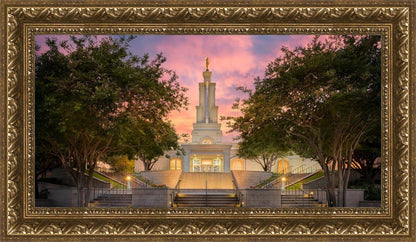 San Antonio Fiery Glow