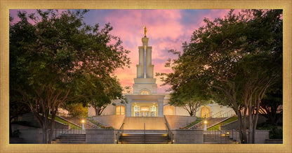 San Antonio Fiery Glow