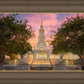 San Antonio Fiery Glow