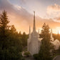 Portland High Glow