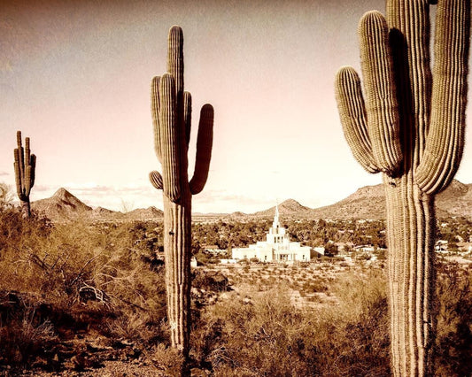 Phoenix Saguaro Cactus Gallery Wrap