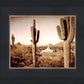 Phoenix Saguaro Cactus
