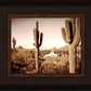 Phoenix Saguaro Cactus