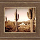 Phoenix Saguaro Cactus