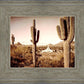Phoenix Saguaro Cactus