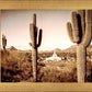 Phoenix Saguaro Cactus