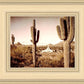 Phoenix Saguaro Cactus