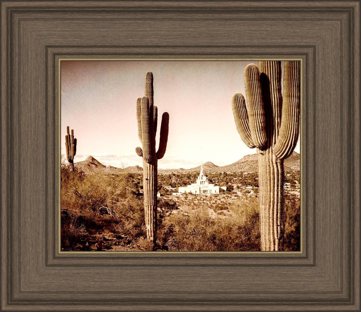 Phoenix Saguaro Cactus