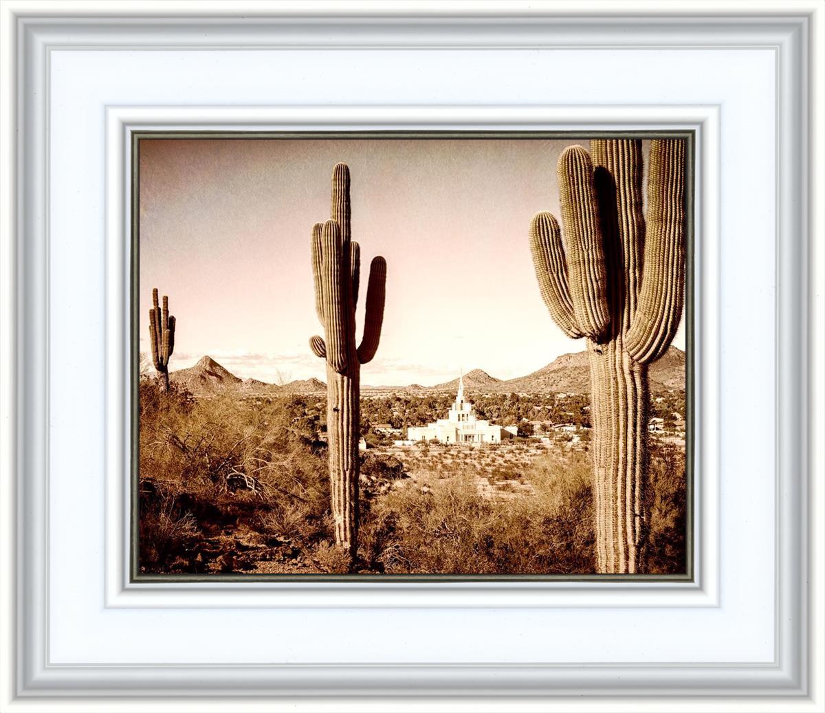 Phoenix Saguaro Cactus