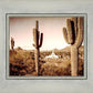 Phoenix Saguaro Cactus