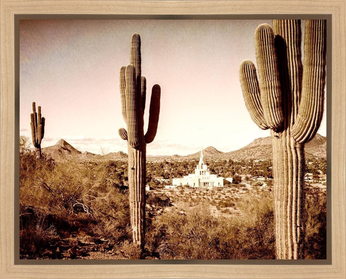Phoenix Saguaro Cactus Gallery Wrap