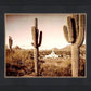 Phoenix Saguaro Cactus