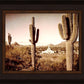 Phoenix Saguaro Cactus