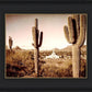 Phoenix Saguaro Cactus