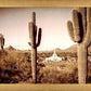 Phoenix Saguaro Cactus