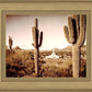 Phoenix Saguaro Cactus