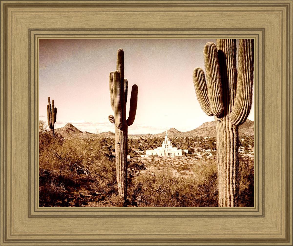 Phoenix Saguaro Cactus