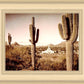Phoenix Saguaro Cactus