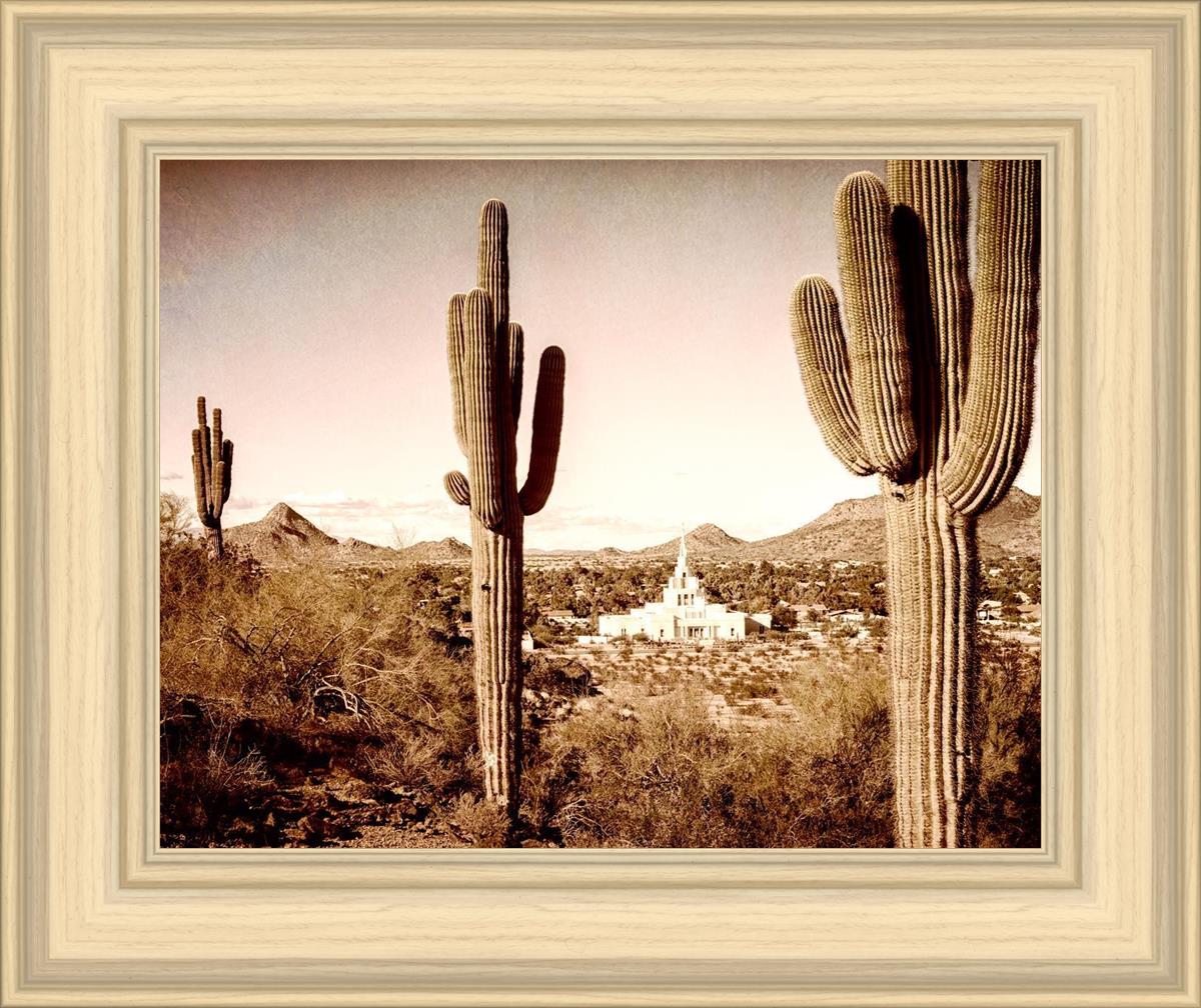 Phoenix Saguaro Cactus