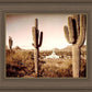 Phoenix Saguaro Cactus