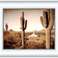 Phoenix Saguaro Cactus
