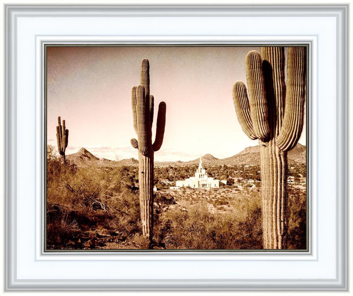 Phoenix Saguaro Cactus