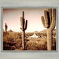 Phoenix Saguaro Cactus