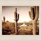 Phoenix Saguaro Cactus