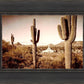 Phoenix Saguaro Cactus