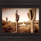 Phoenix Saguaro Cactus
