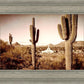 Phoenix Saguaro Cactus