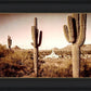 Phoenix Saguaro Cactus