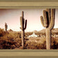 Phoenix Saguaro Cactus