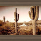 Phoenix Saguaro Cactus