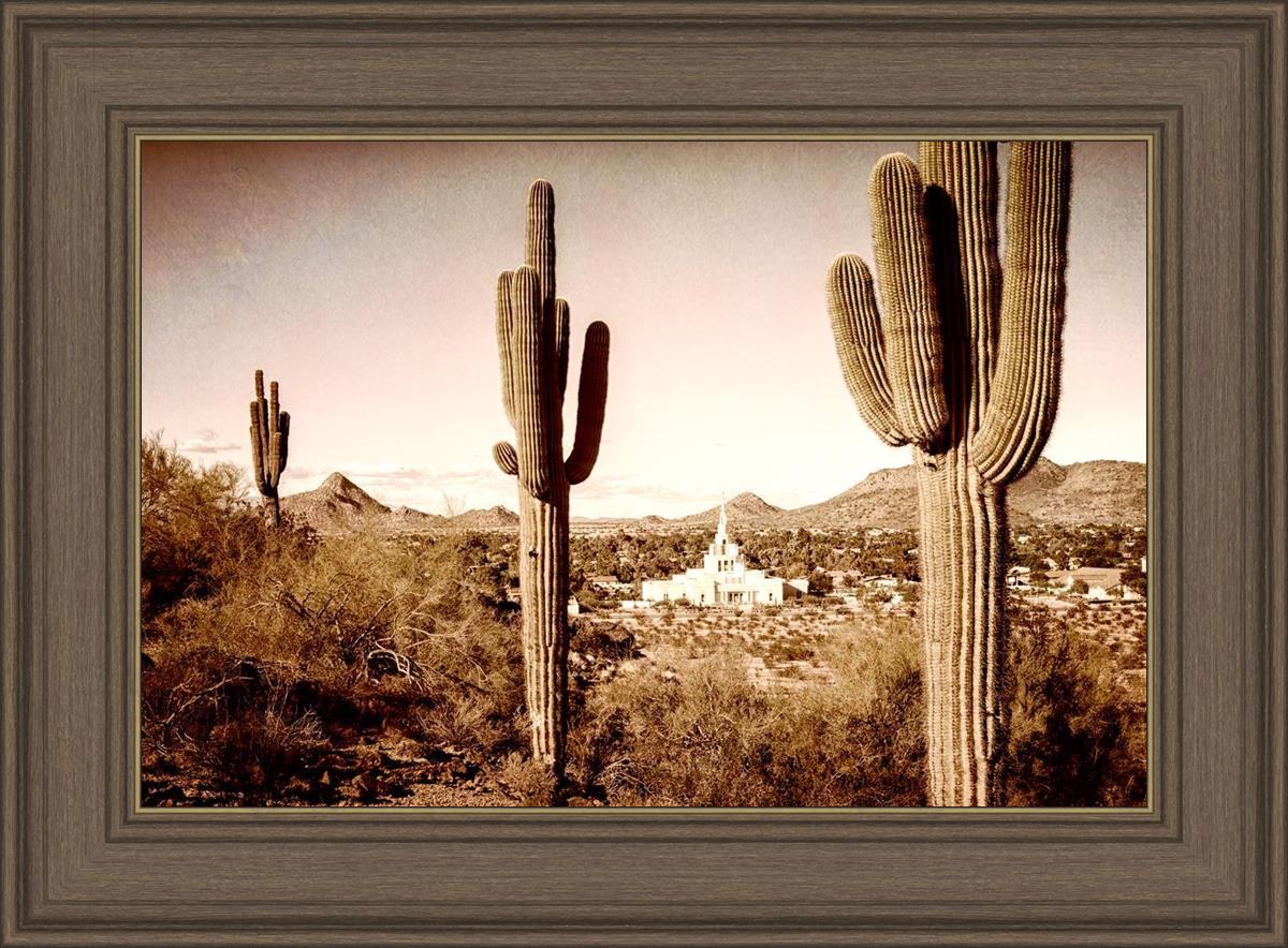 Phoenix Saguaro Cactus