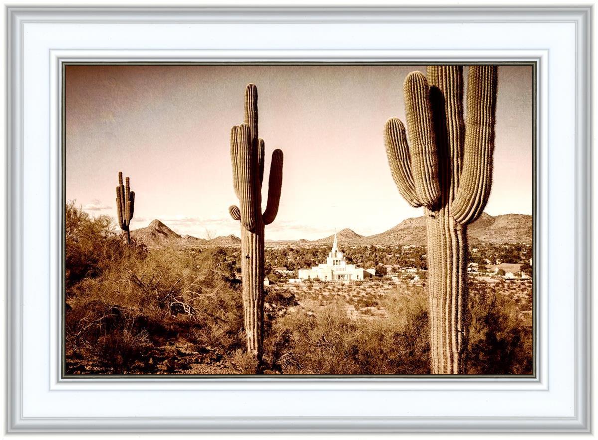 Phoenix Saguaro Cactus