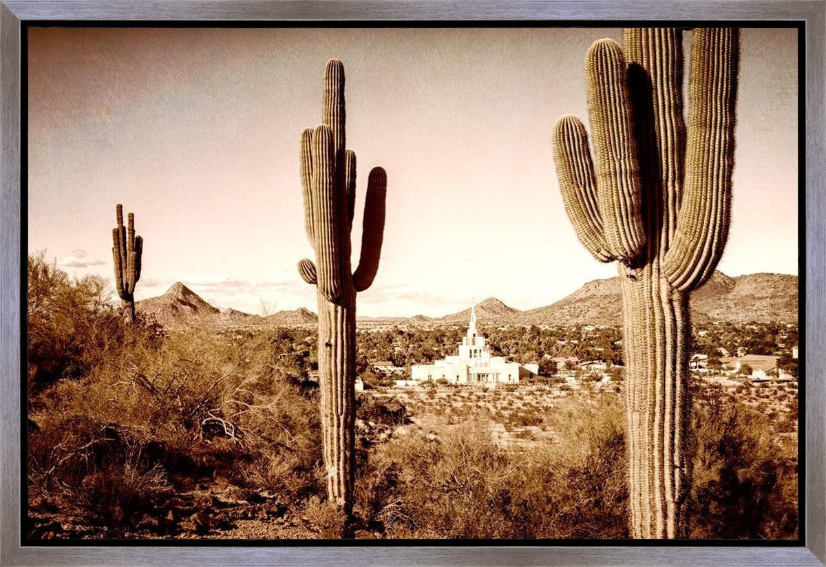 Phoenix Saguaro Cactus Gallery Wrap
