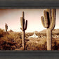 Phoenix Saguaro Cactus