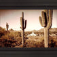 Phoenix Saguaro Cactus