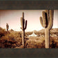 Phoenix Saguaro Cactus