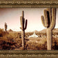Phoenix Saguaro Cactus