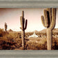 Phoenix Saguaro Cactus